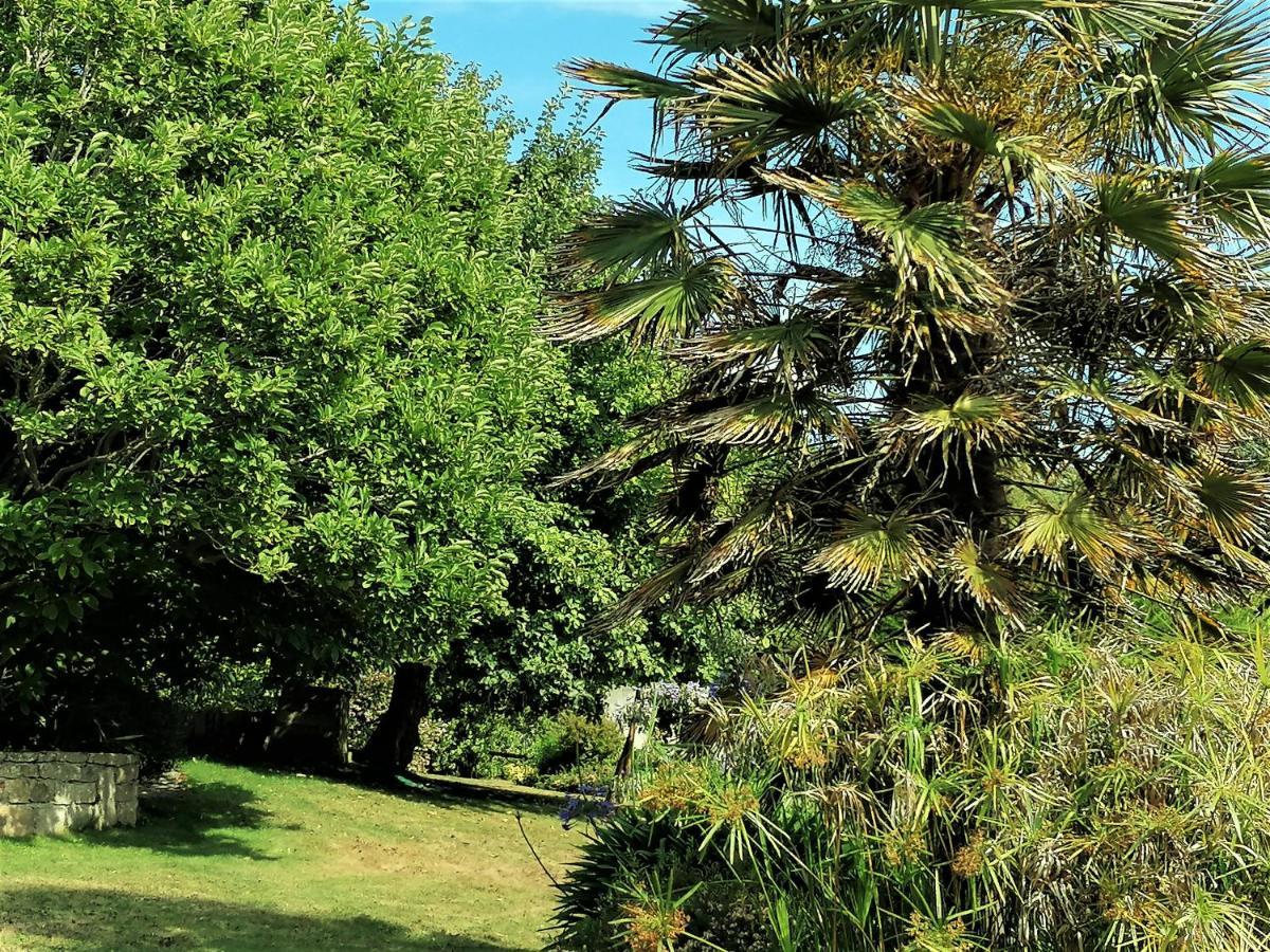 Les Terrasses Du Ris Bed & Breakfast Douarnenez Luaran gambar